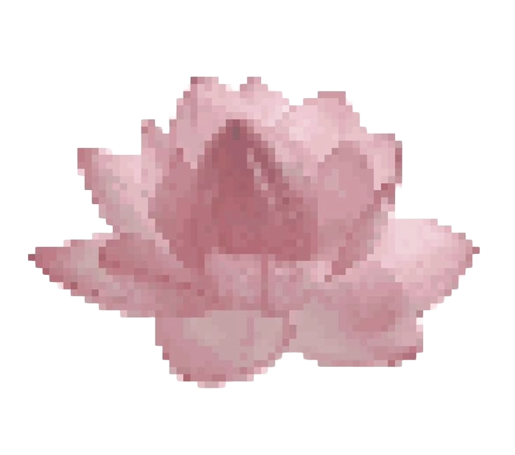 lotus